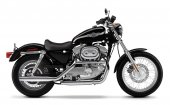 2003 Harley-Davidson XLH Sportster 883 photo
